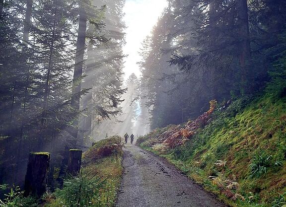 Genußradeln im Schwarzwald