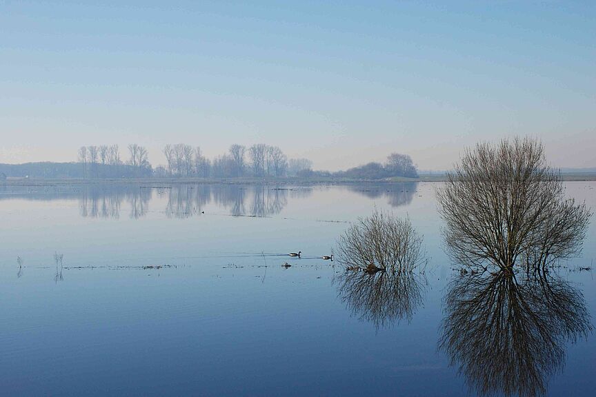 Winter in Bornhorst Winter in Bornhorst